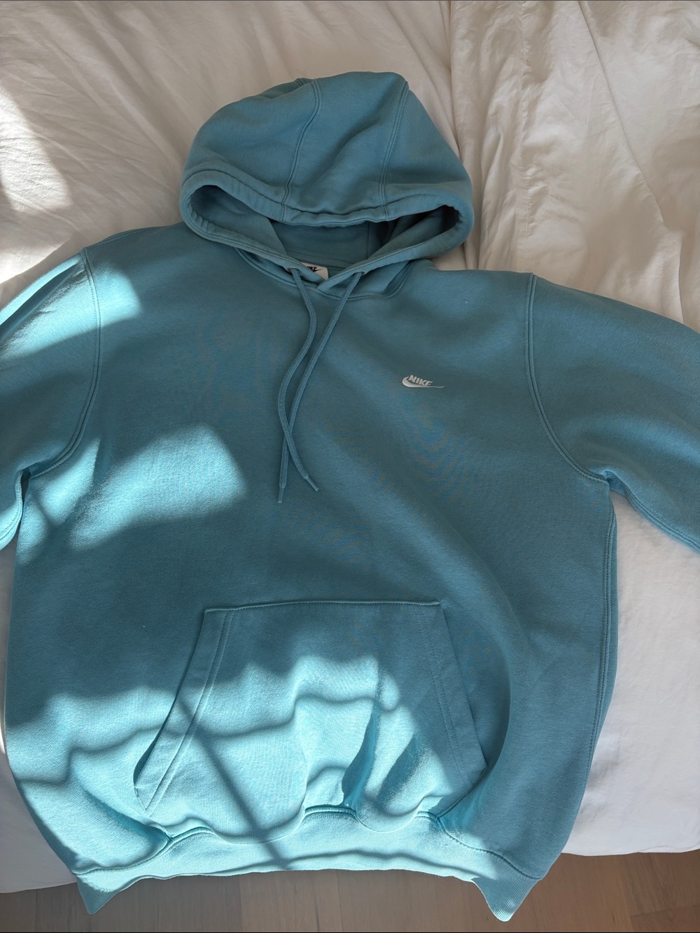 Nike Men's Light Teal Pullover Hoodie